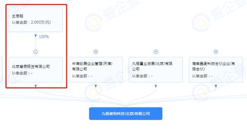 王思聰跨界布局，投資成立半導(dǎo)體制造公司引領(lǐng)技術(shù)新浪潮
