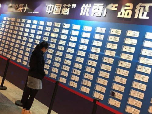 廈門軟件園企業(yè)榮獲“中國芯”優(yōu)秀產(chǎn)品技術(shù)推廣獎，彰顯區(qū)域科技創(chuàng)新實力