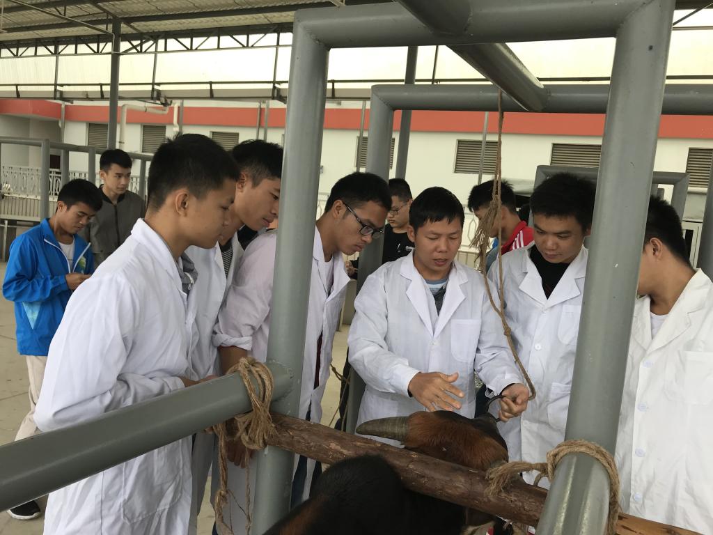 學畜牧技術，走致富之路——畜牧漁業飼料銷售的關鍵策略