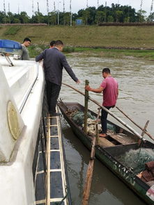 南溪區(qū)開展國慶節(jié)前漁船安全生產(chǎn)專項檢查，確保畜牧漁業(yè)飼料銷售與漁業(yè)生產(chǎn)安全