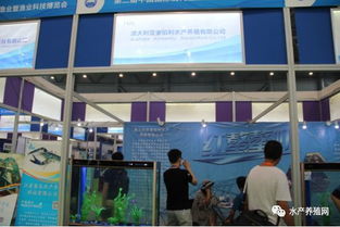 近500家水產(chǎn)產(chǎn)業(yè)鏈企業(yè)齊聚合肥漁博會，現(xiàn)場亮點紛呈，行業(yè)盛事引領(lǐng)產(chǎn)業(yè)新方向