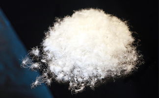 上海羽絨加工廠(chǎng) 專(zhuān)業(yè)羽絨制品的供應(yīng)商 安徽鴻暖