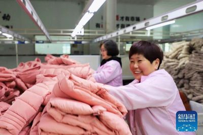 河南范縣 羽絨及制品產(chǎn)銷兩旺，工人干勁十足
